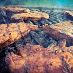 De perfecte BBQ regelen doe je bij de BBQ Specialist