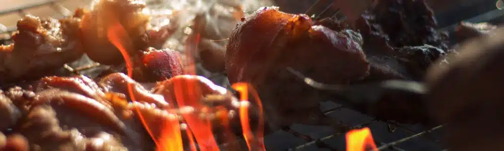 BBQ CATERING POLSBROEK